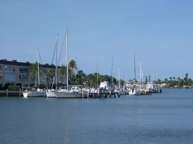 a view of water with boats and trees in the background