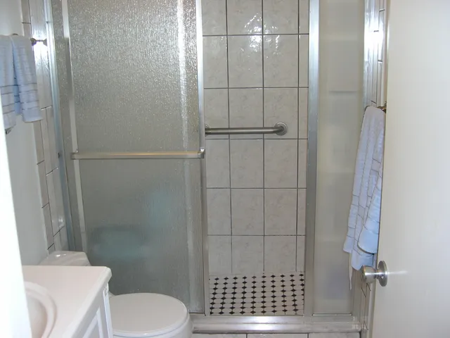a bathroom with a toilet and a shower
