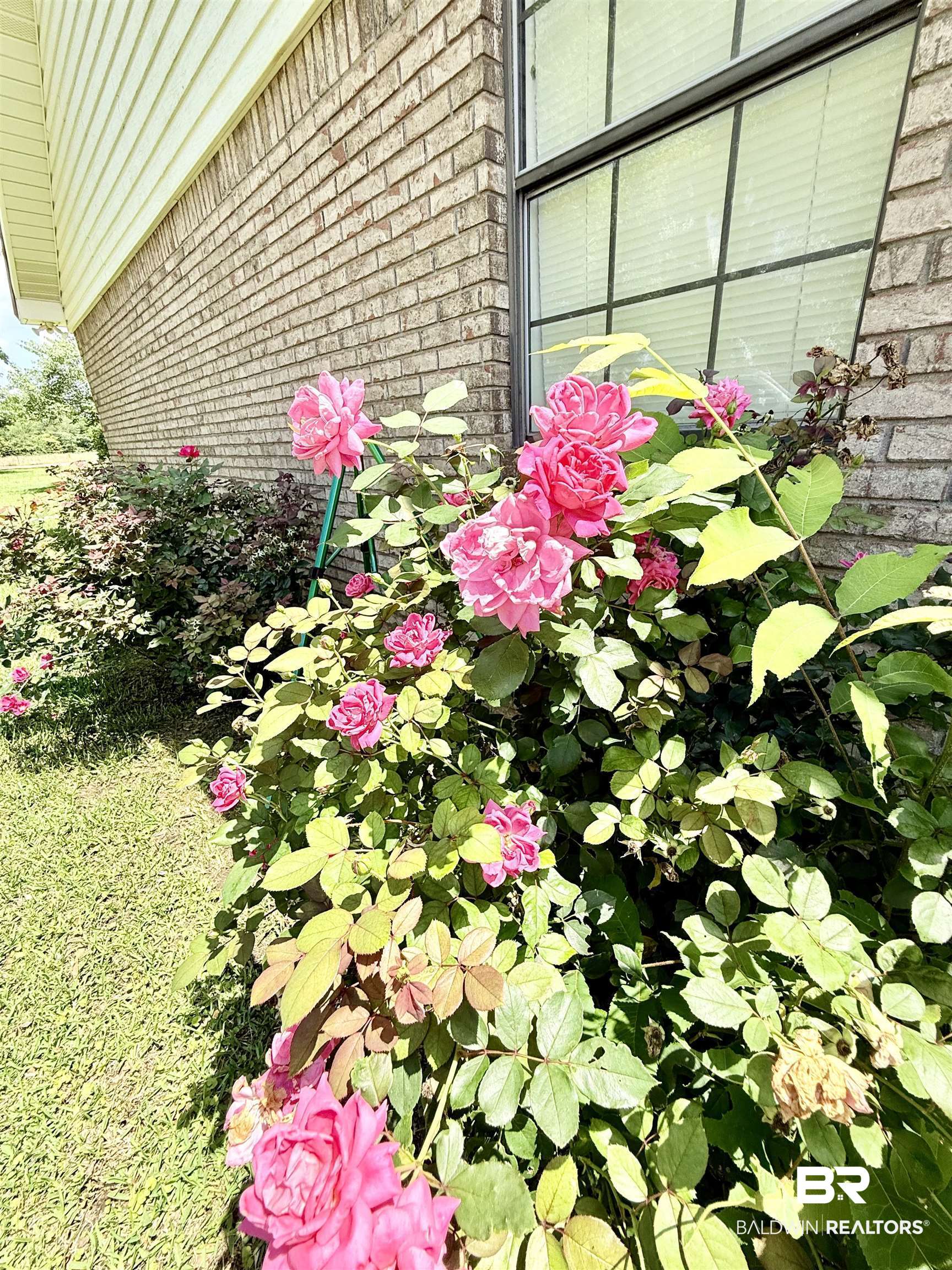 190 Jaye Road Frisco City, AL 36445 - Photo 12 of 48