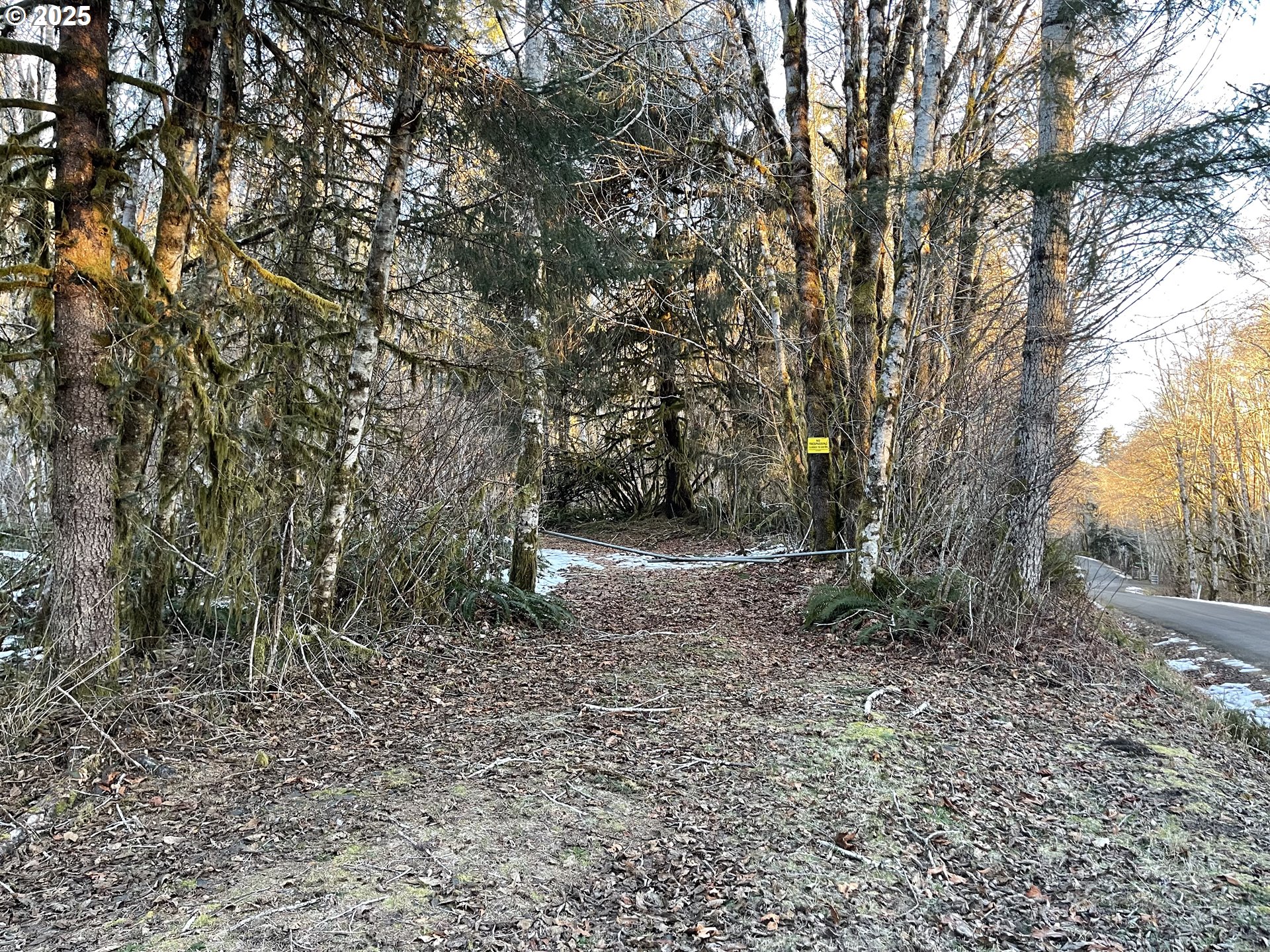 Red Bluff Road Seaside, OR 97138 - Photo 3 of 4