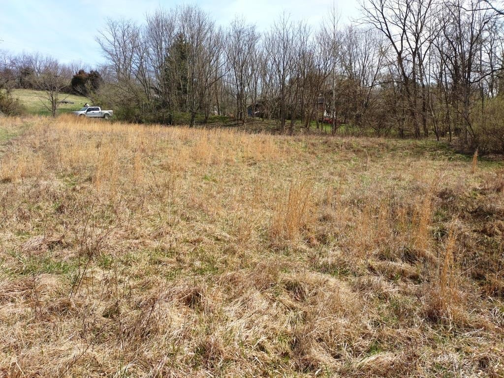 2-acre Keesling School Road, Unit 18 Max Meadows, VA 24360 - Photo 4 of 12 Gallery Image 4
