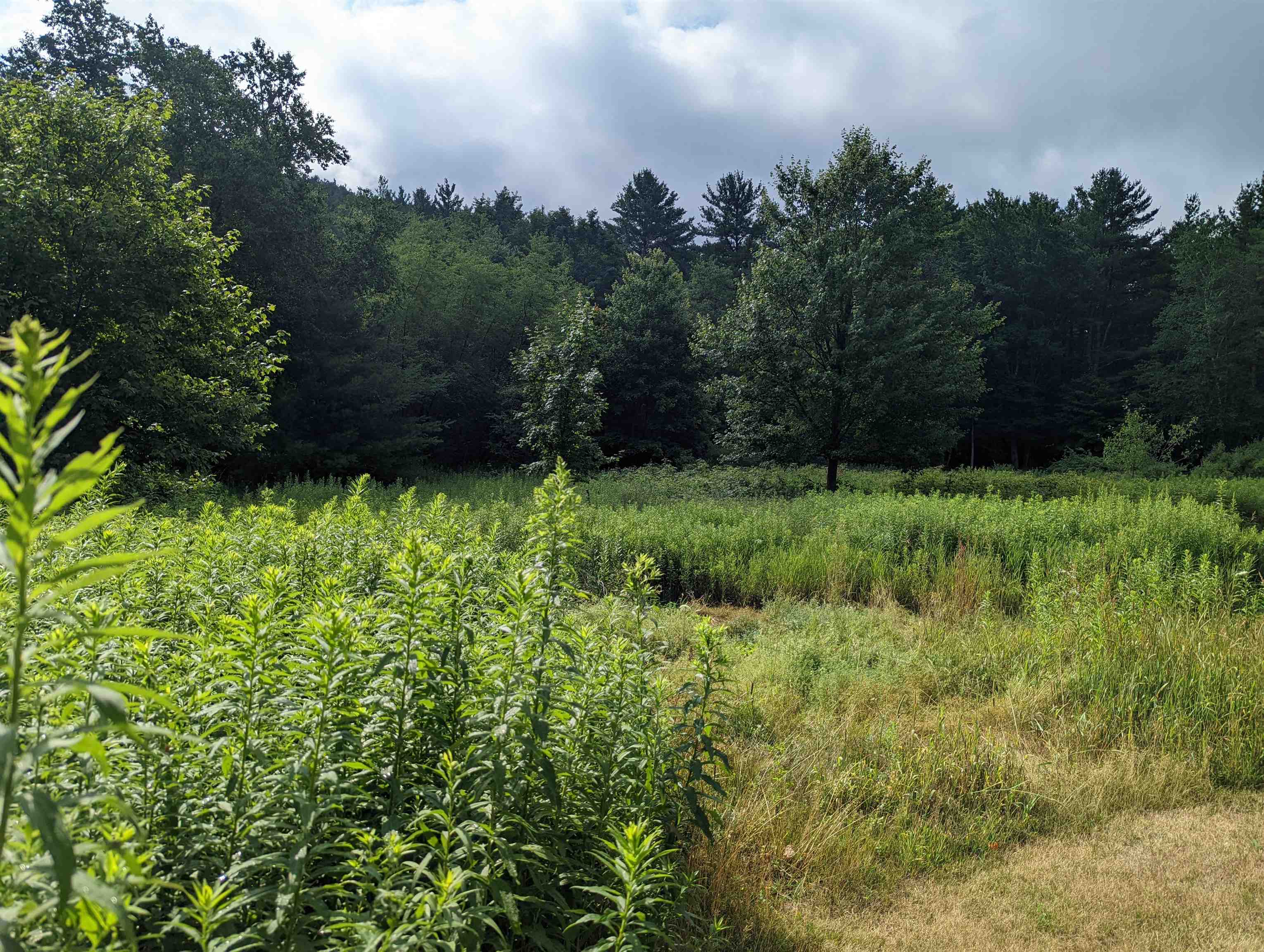 371 Schenkar Road Pownal, VT 05261 - Photo 8 of 15 Gallery Image 8