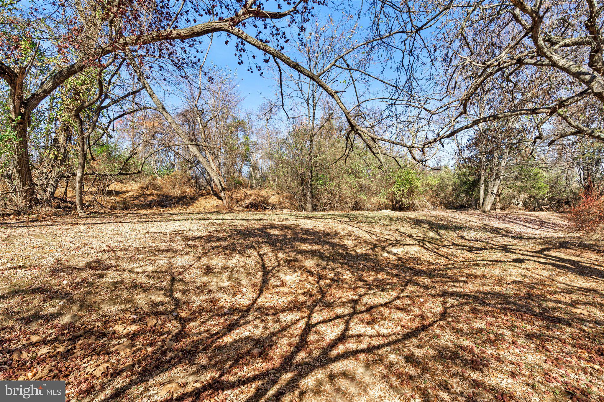 42 Willis Drive Ewing, NJ 08628 - Photo 38 of 39