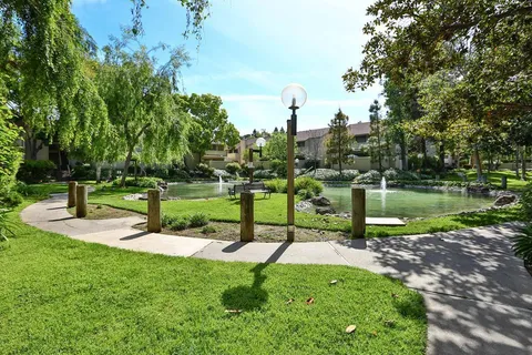 a view of a park with tree s