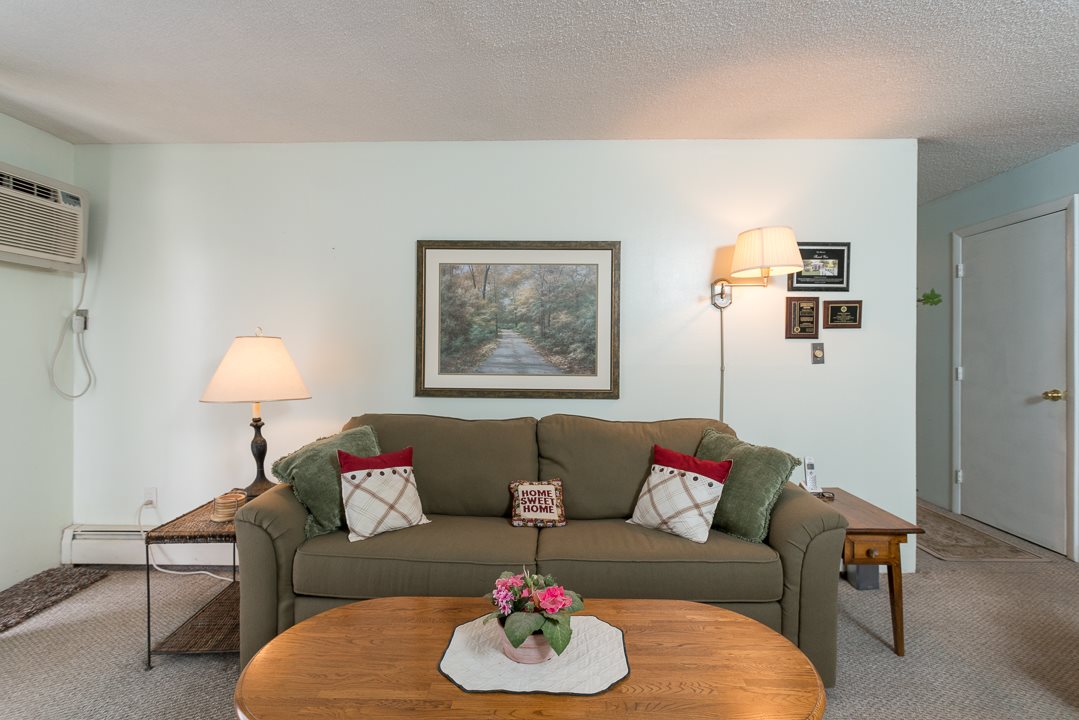 130 Mammoth Road, Unit 14 Hooksett, NH 03106 - Photo 3 of 20