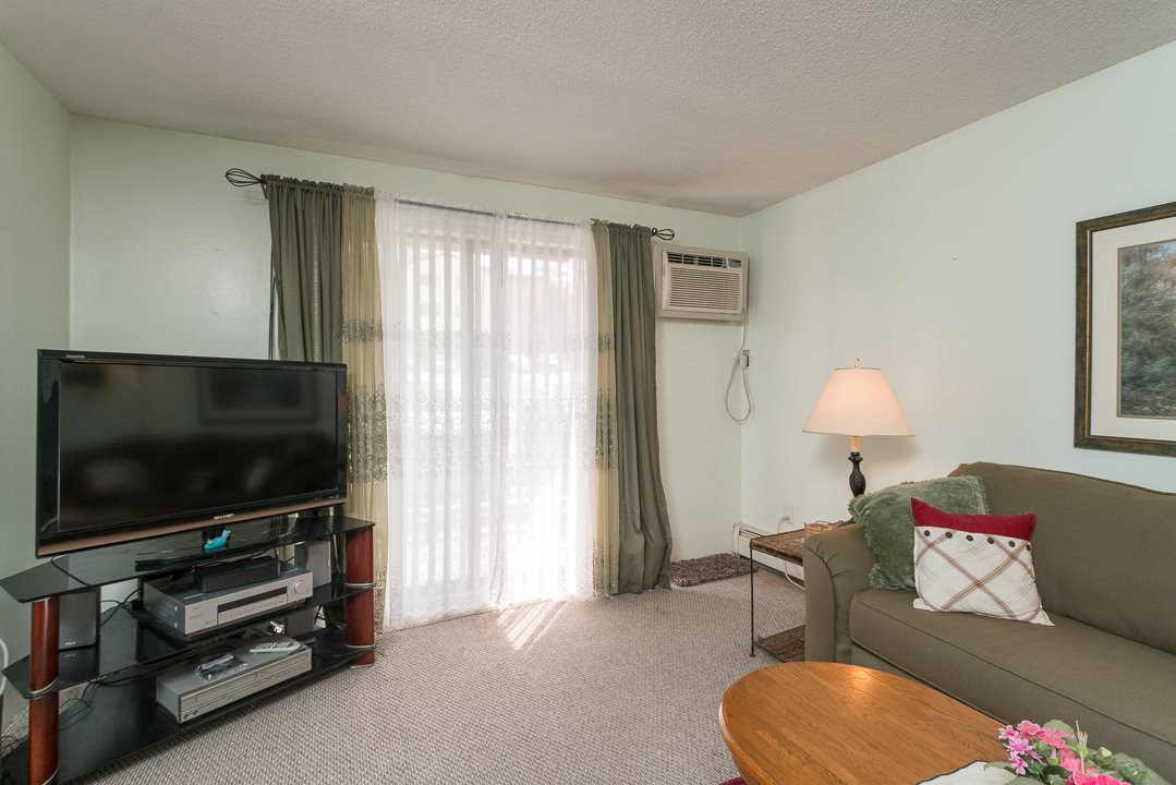 130 Mammoth Road, Unit 14 Hooksett, NH 03106 - Photo 4 of 20