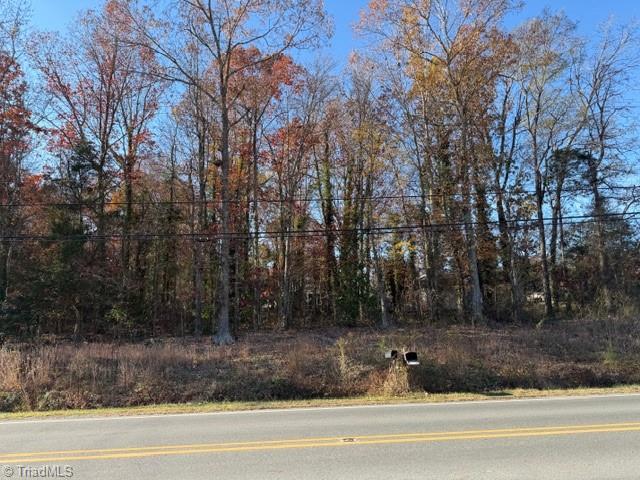 0 Bombay Road Denton, NC 27239 - Photo 2 of 2