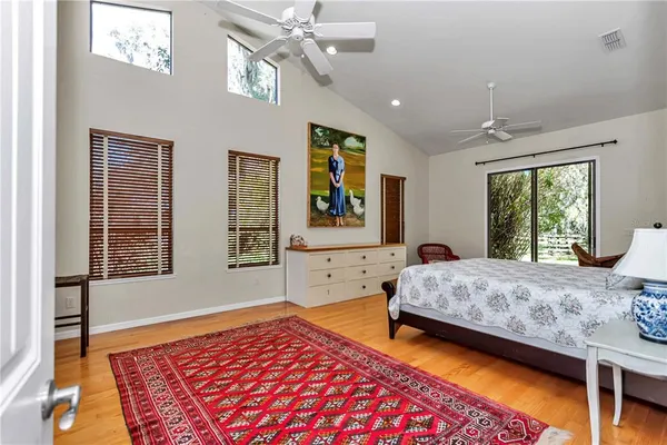 a view of a yard with plants and large trees