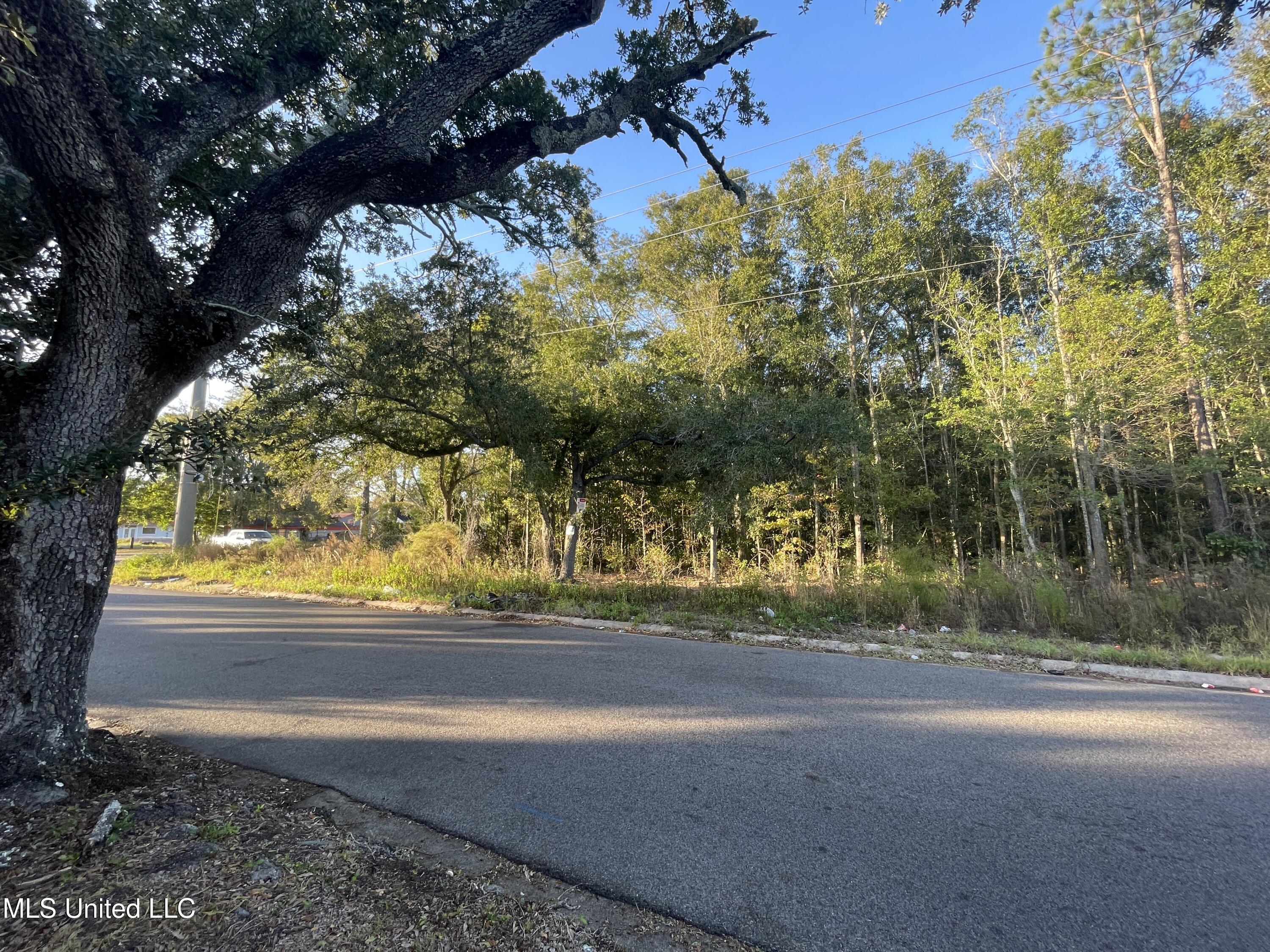 Lanier Avenue Pascagoula, MS 39581 - Photo 3 of 4 IMG_6256