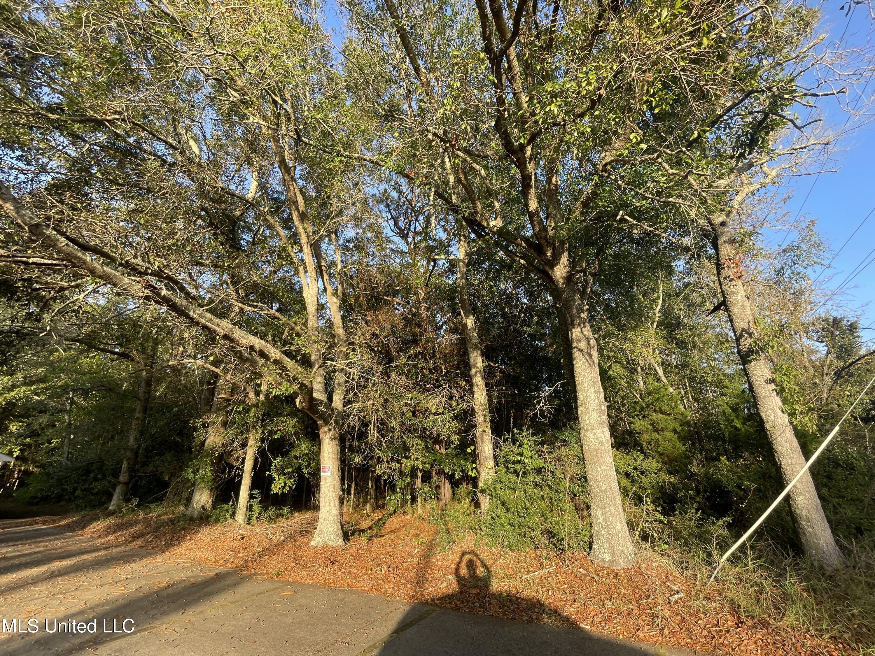 Lanier Avenue Pascagoula, MS 39581 - Photo 4 of 4 IMG_6257