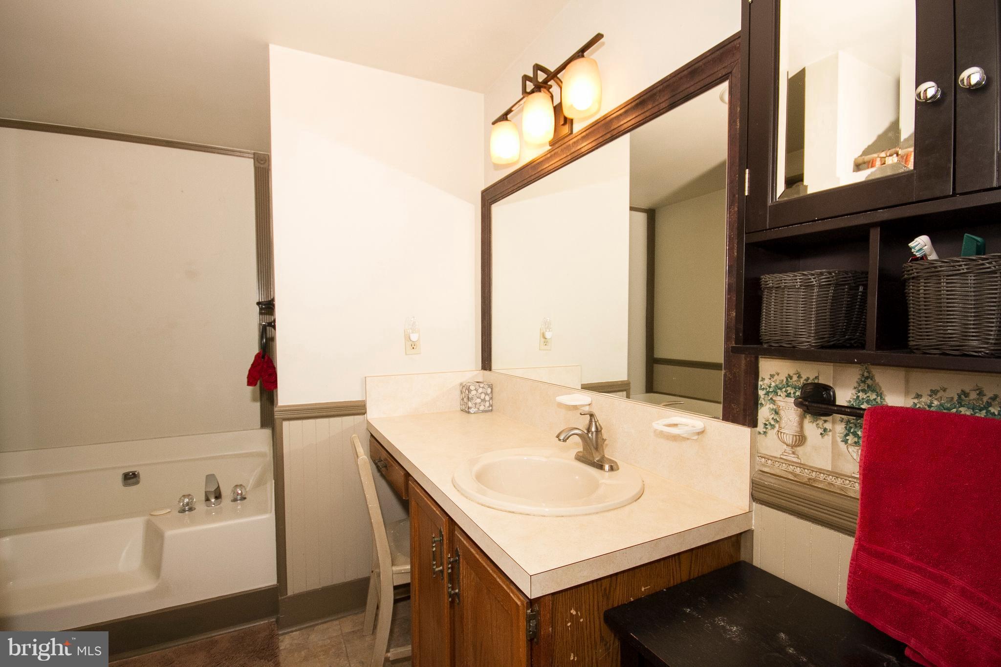 2816 Bird View Road Westminster, MD 21157 - Photo 11 of 22 Private Master Bath