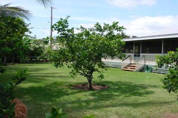 8665 Kekaha Road Kekaha, HI 96752 - Photo 24 of 29