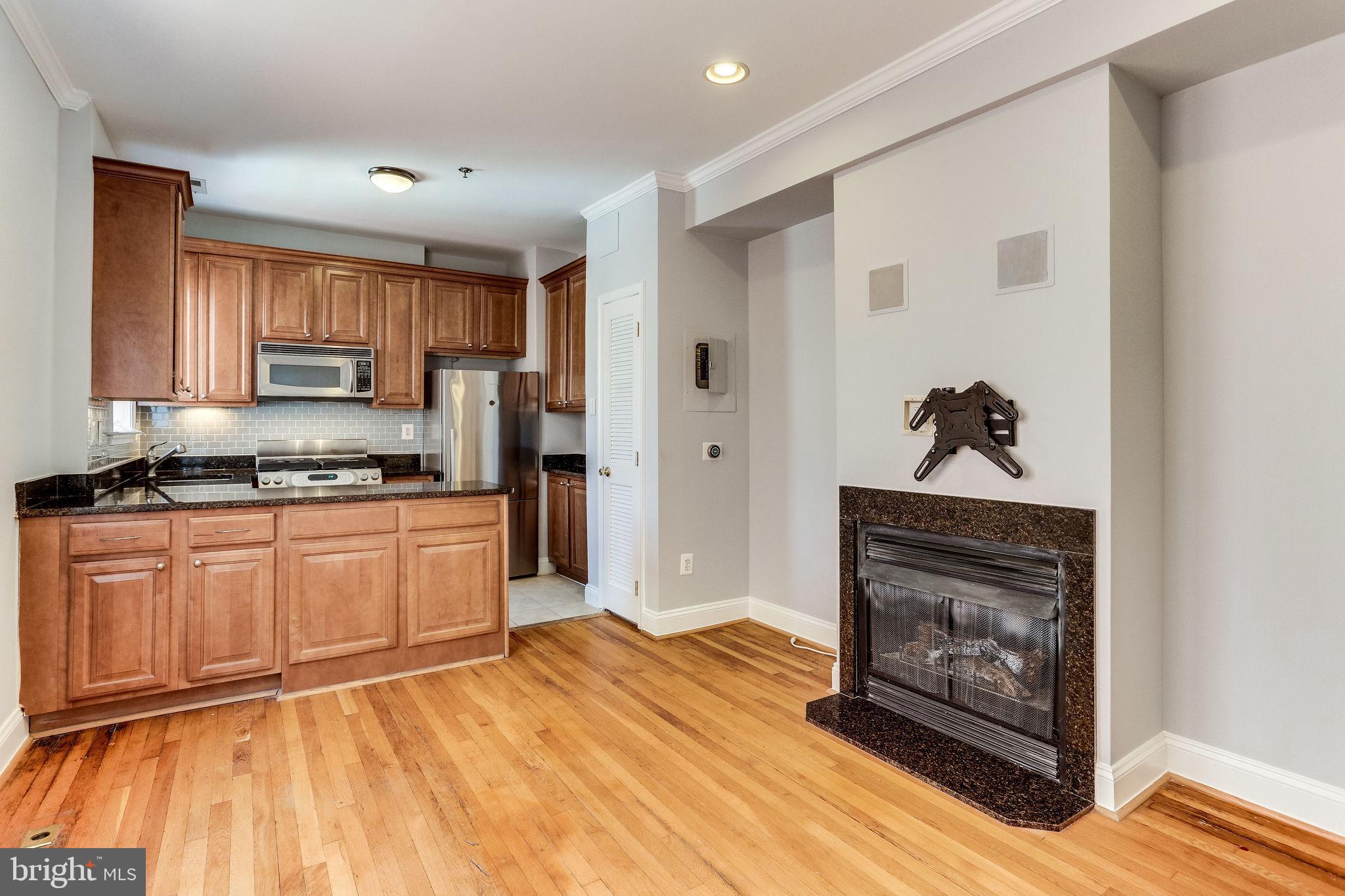 1438 Columbia Road Northwest, Unit 404 Washington, DC 20009 - Photo 6 of 19 Fireplace