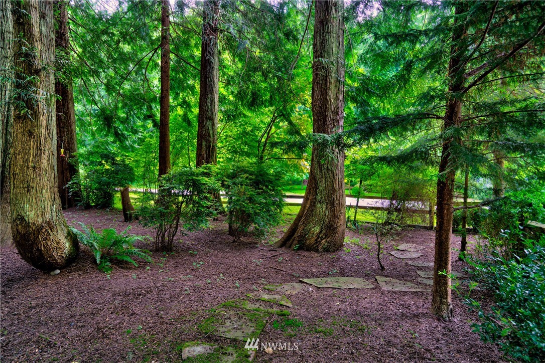 1230 Cedar Circle Langley, WA 98260 - Photo 32 of 39 a view of a park