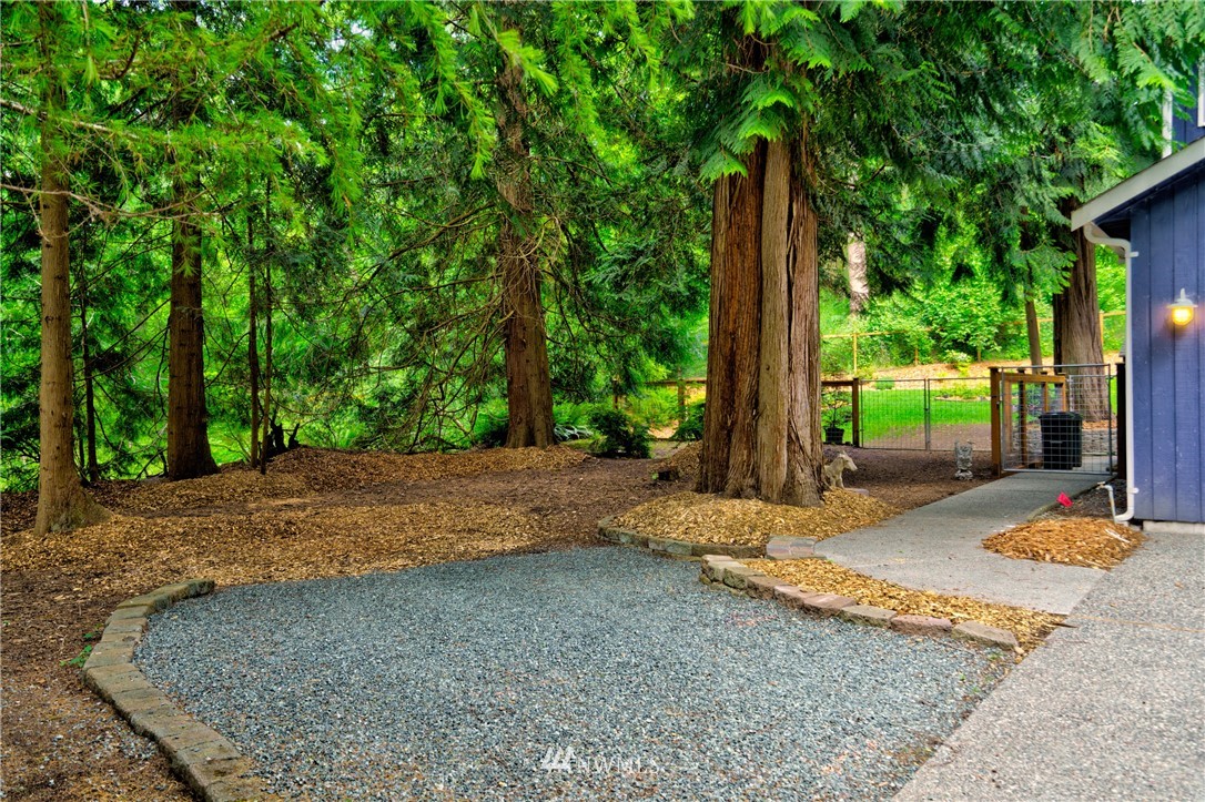 1230 Cedar Circle Langley, WA 98260 - Photo 36 of 39 a backyard of a house with plants and tree