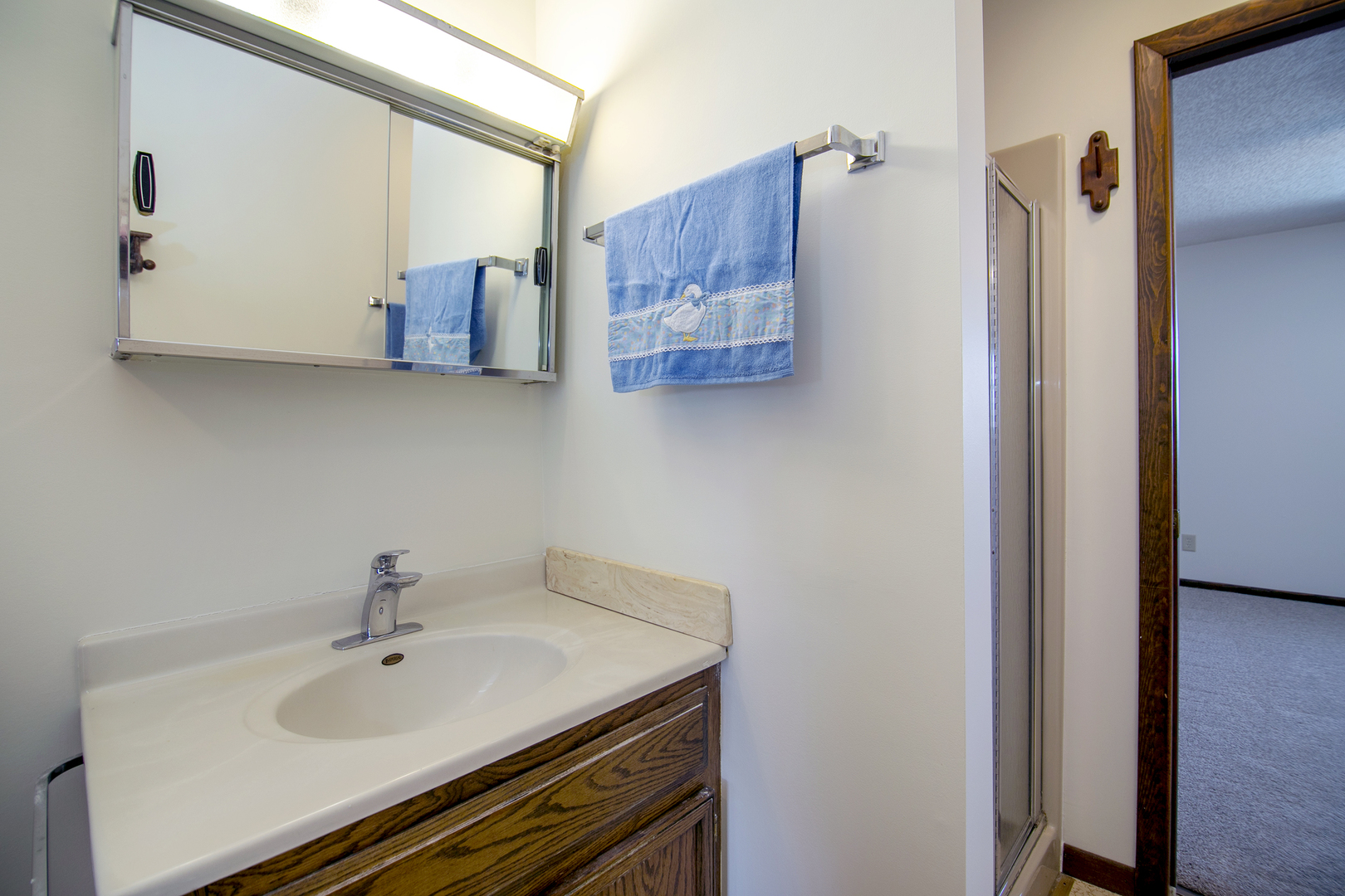 401 South Walnut Street Manteno, IL 60950 - Photo 15 of 25