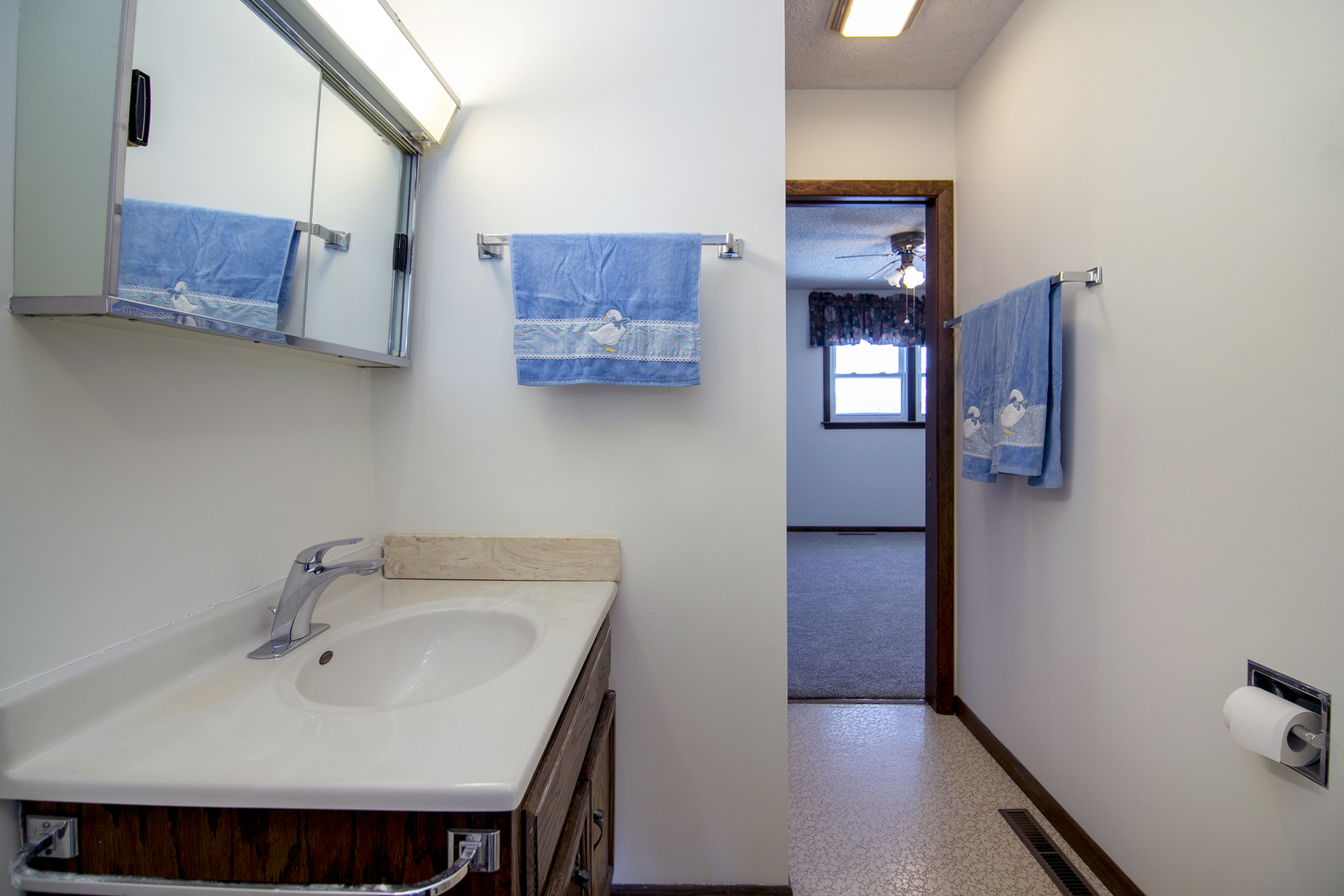 401 South Walnut Street Manteno, IL 60950 - Photo 16 of 25