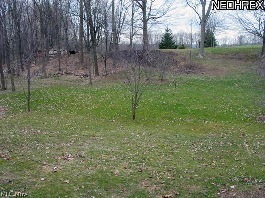 6881 Lowmiller Road Minerva, OH 44657 - Photo 5 of 10 Gallery Image 5