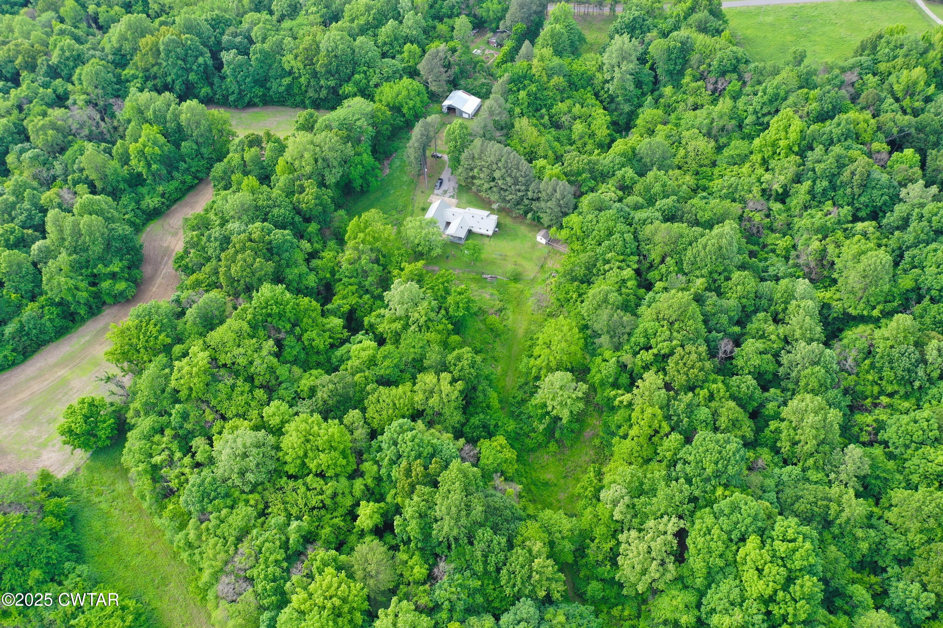 4815 Webb Store Road Hornbeak, TN 38232 - Photo 2 of 23 a view of a forest with a tree
