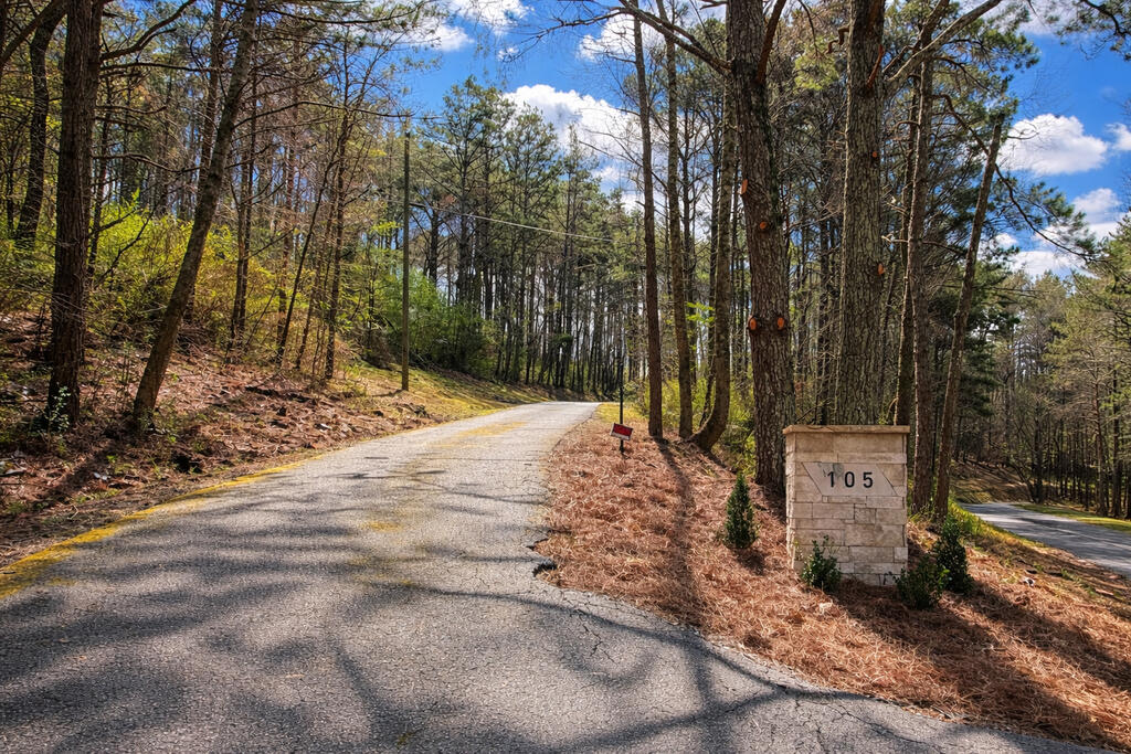 105 West Riveredge Drive Ellijay, GA 30536 - Photo 70 of 73 Gallery Image 70