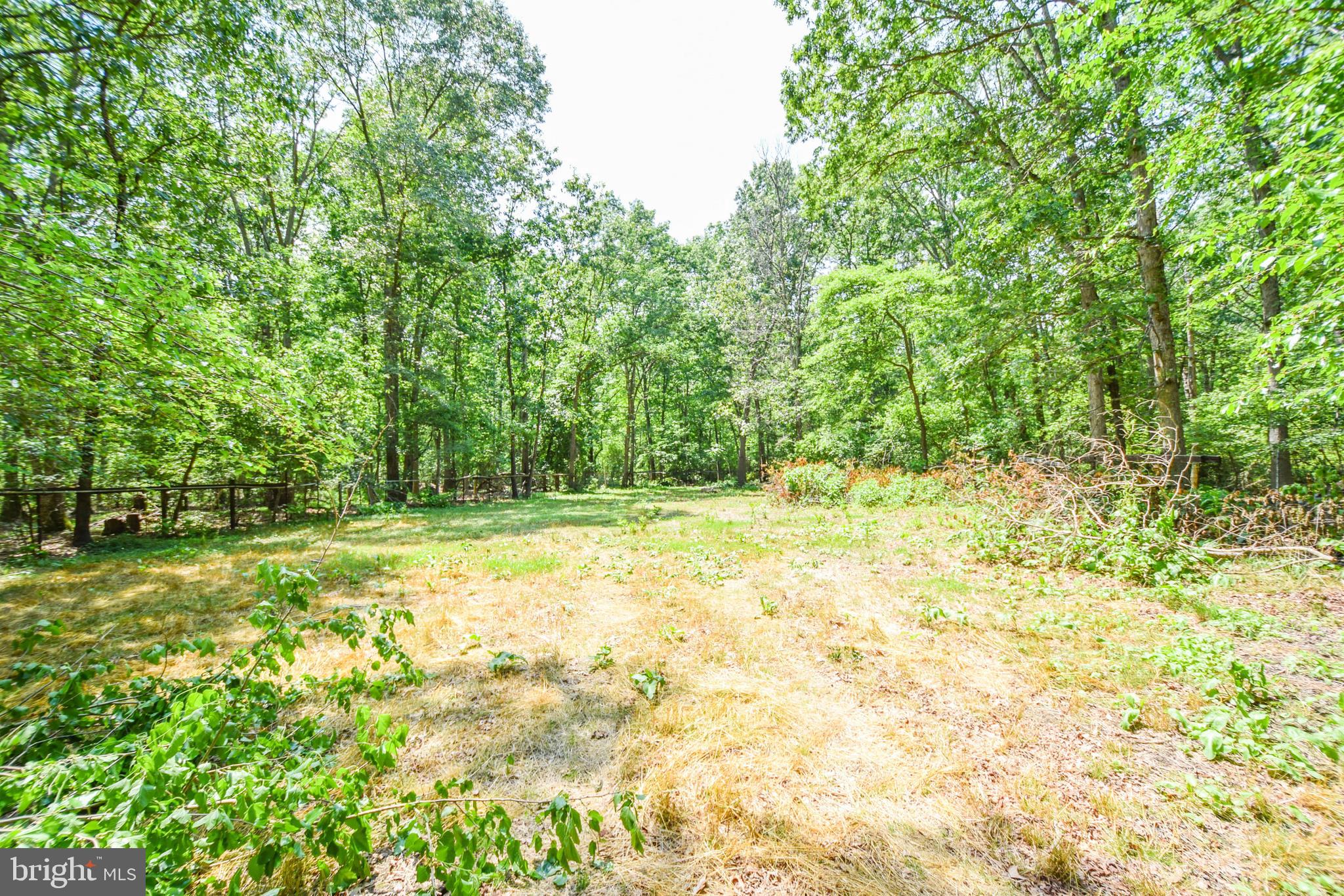 211 Buck Road Elmer, NJ 08318 - Photo 8 of 27 Gallery Image 8