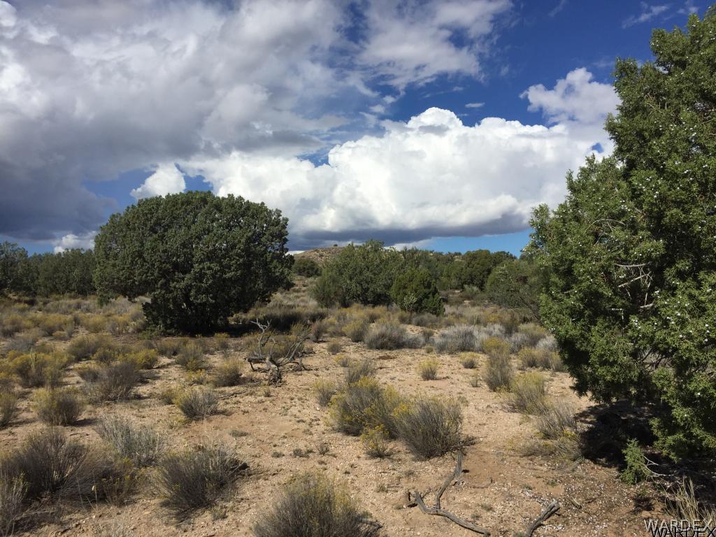 4005 South Colin Road Kingman, AZ 86401 - Photo 12 of 19 Gallery Image 12