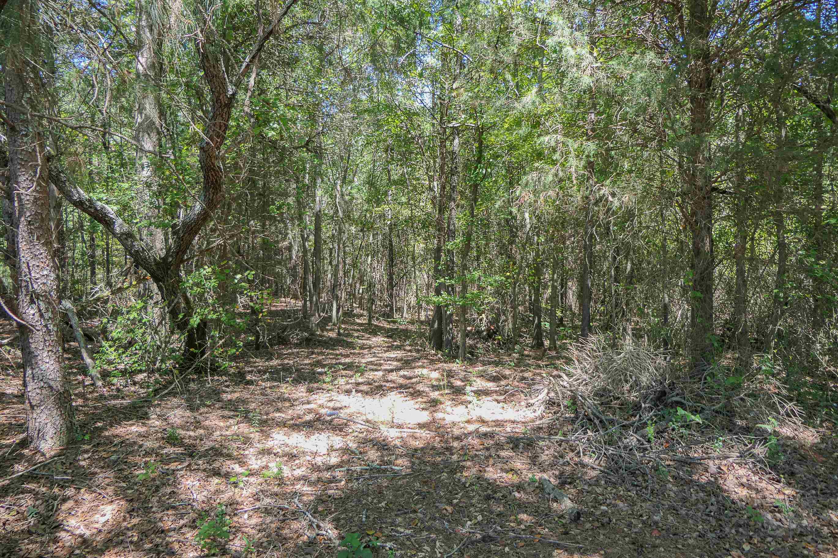 Swofford Drive Gaffney, SC 29341 - Photo 7 of 19
