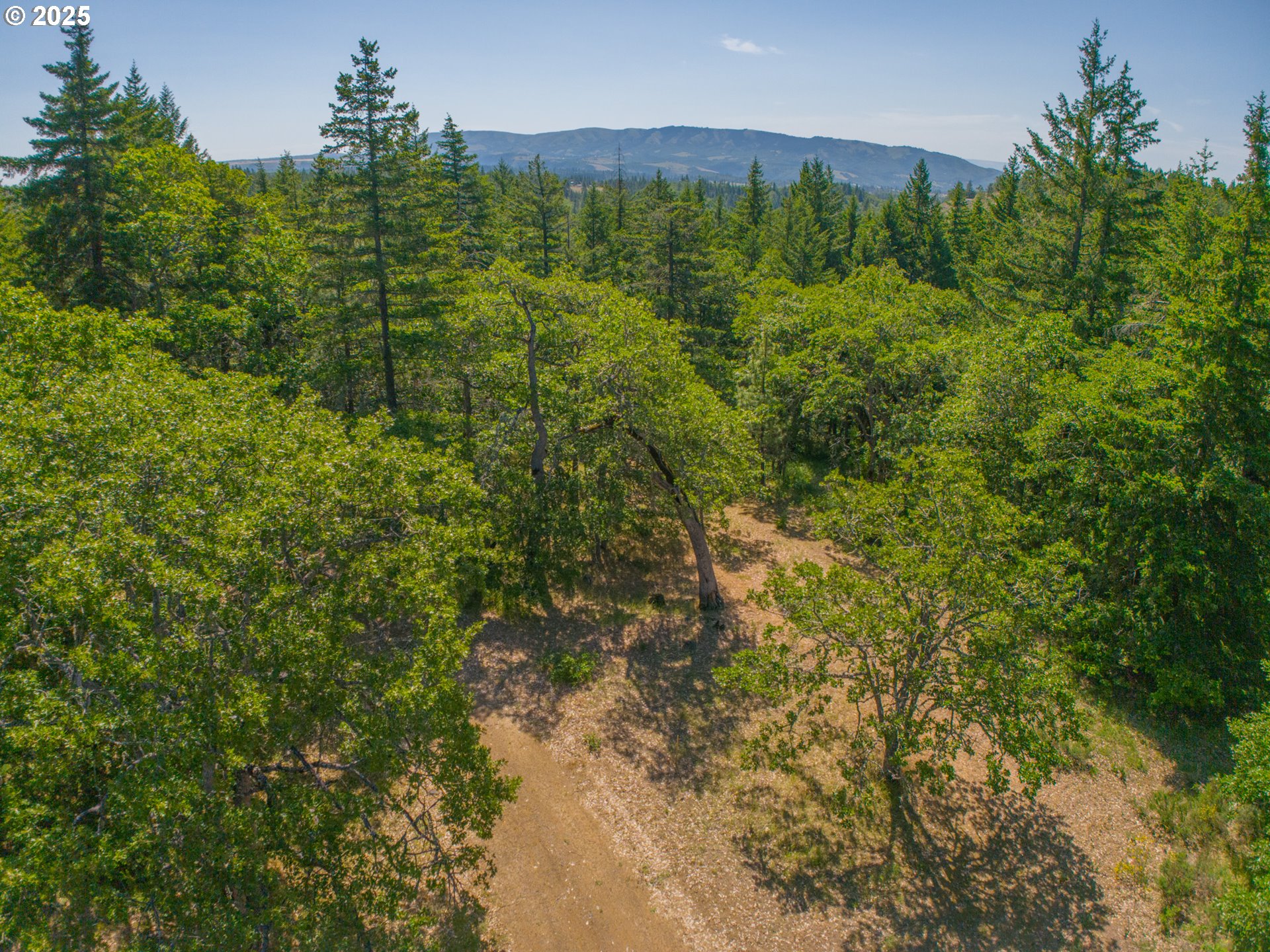 518 Canyon Road Lyle, WA 98635 - Photo 12 of 38