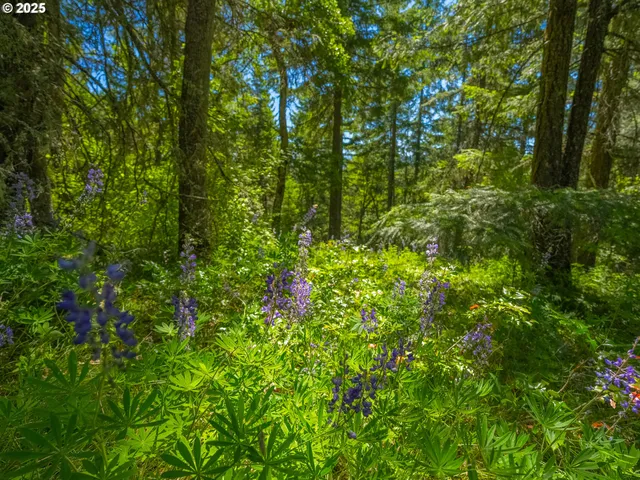 $385,000 | 518 Canyon Road, Lyle, WA 98635