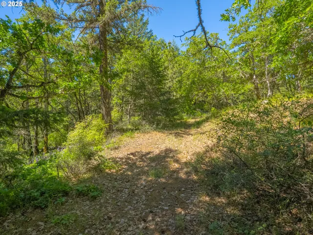 $385,000 | 518 Canyon Road, Lyle, WA 98635