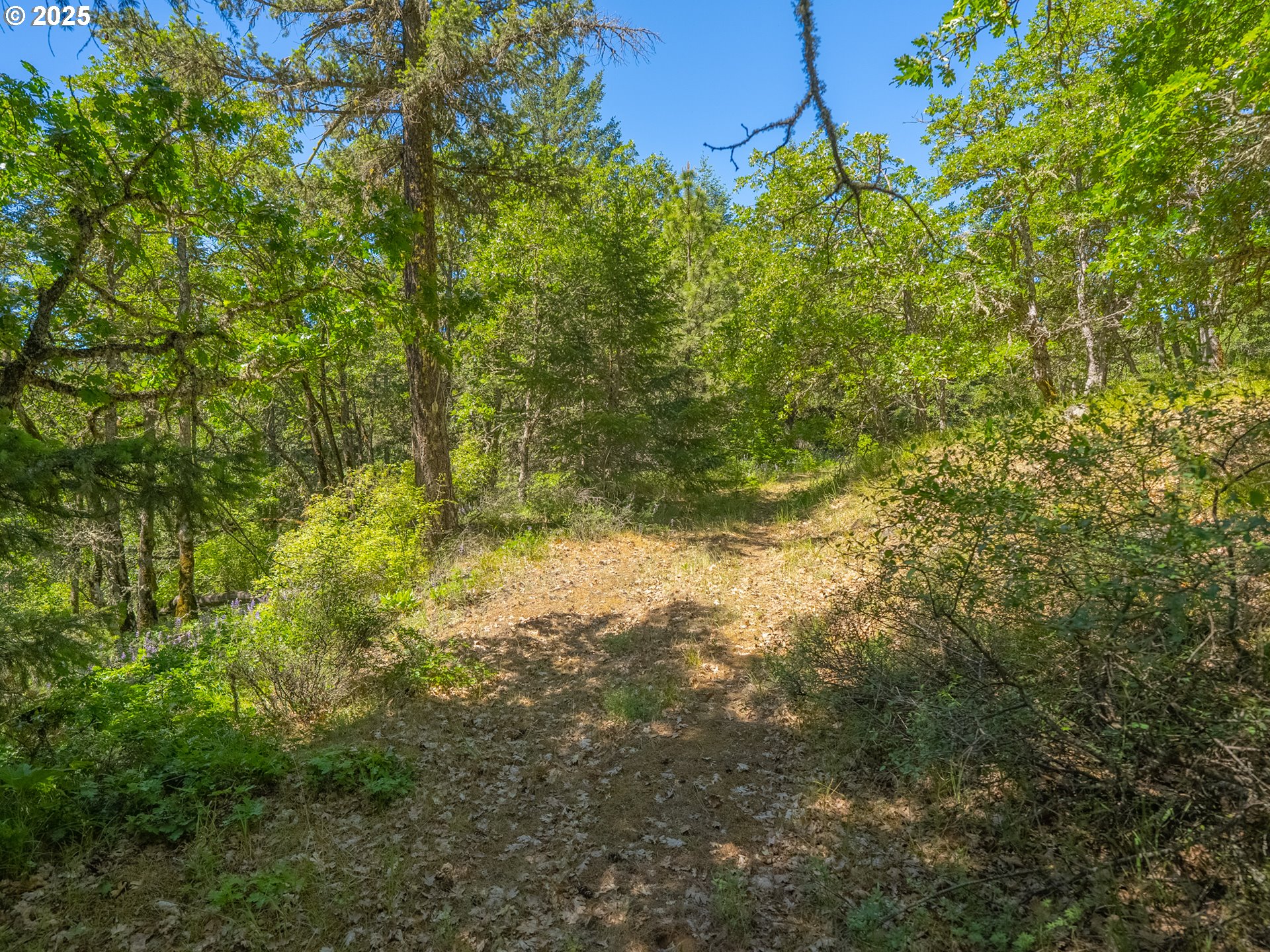 518 Canyon Road Lyle, WA 98635 - Photo 18 of 38