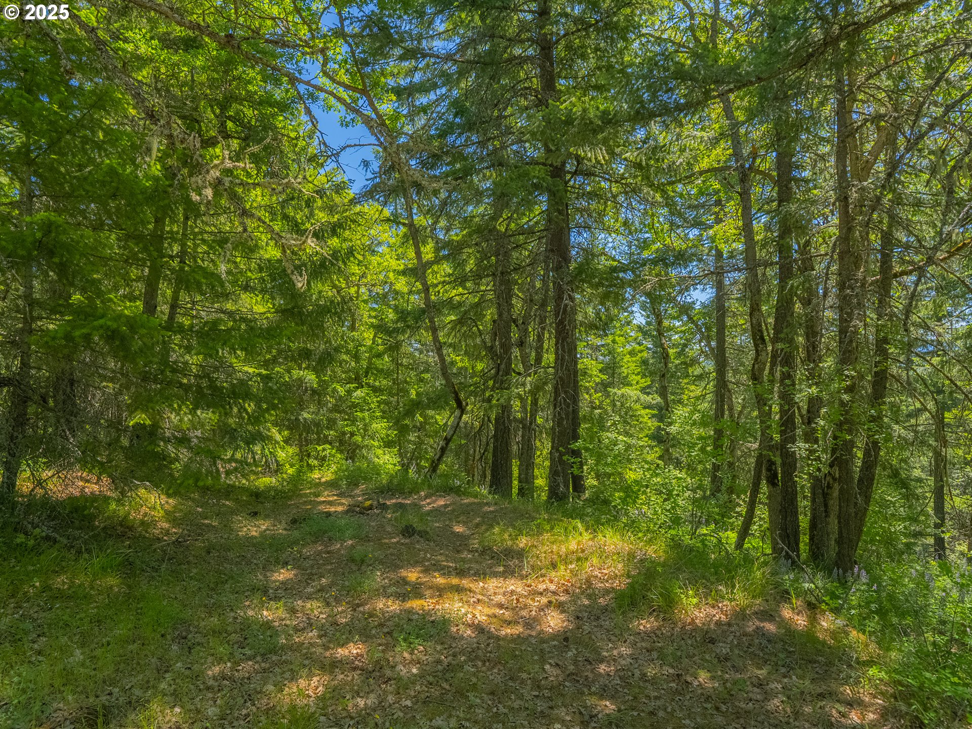 518 Canyon Road Lyle, WA 98635 - Photo 19 of 38