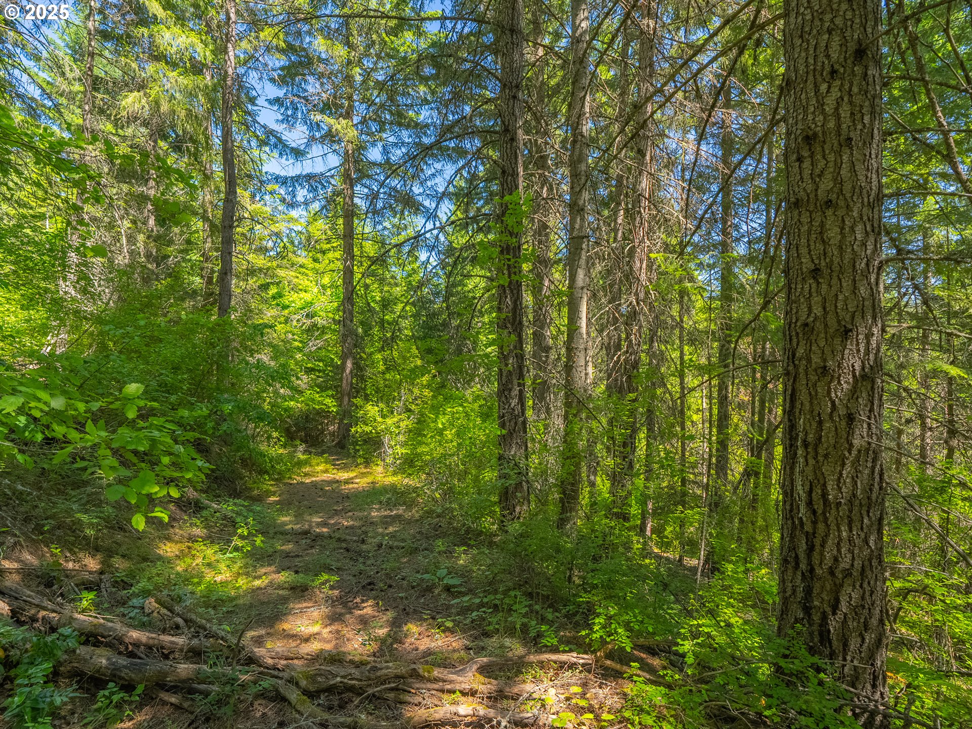 518 Canyon Road Lyle, WA 98635 - Photo 21 of 38