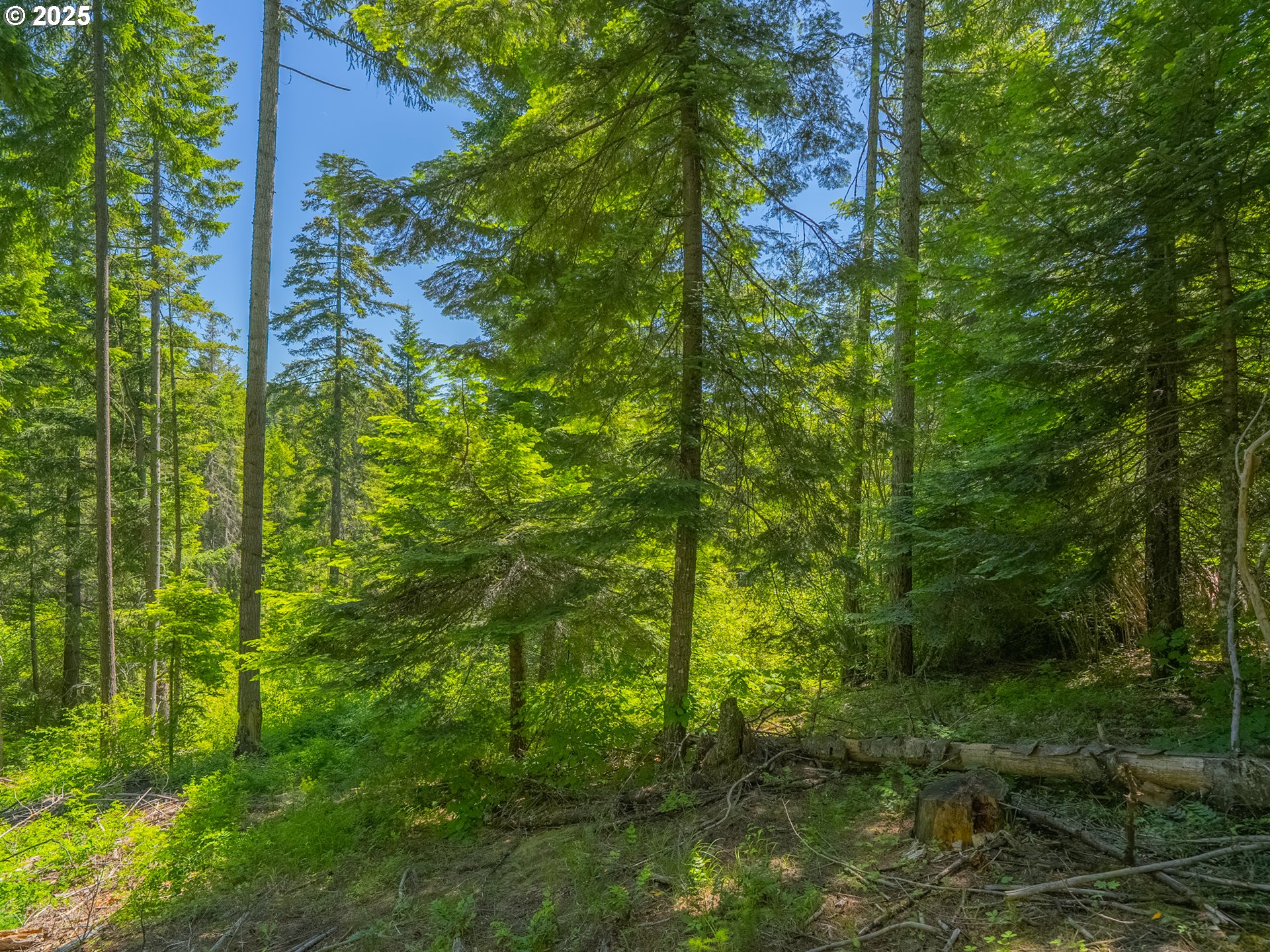 518 Canyon Road Lyle, WA 98635 - Photo 23 of 38