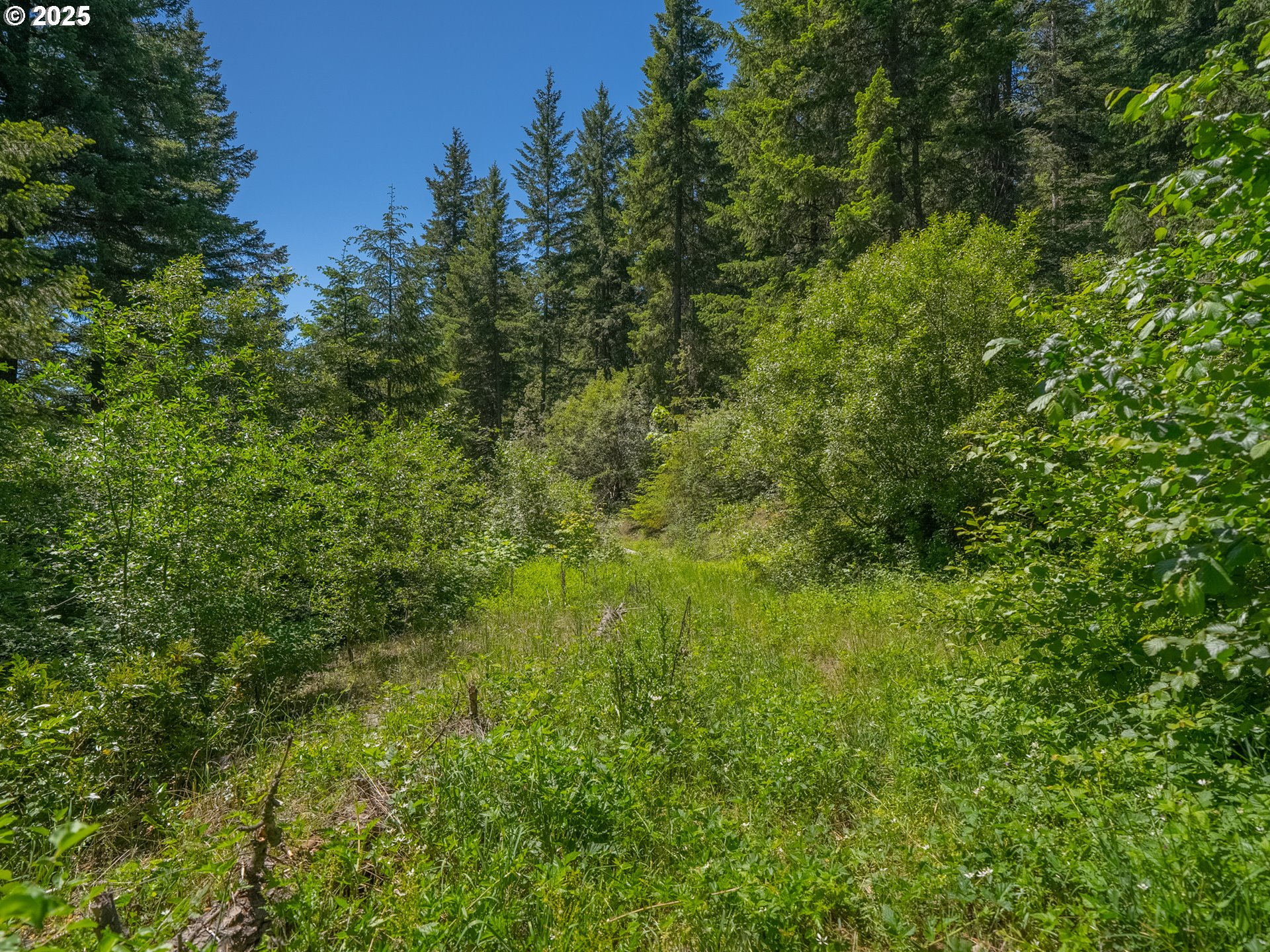 518 Canyon Road Lyle, WA 98635 - Photo 25 of 38