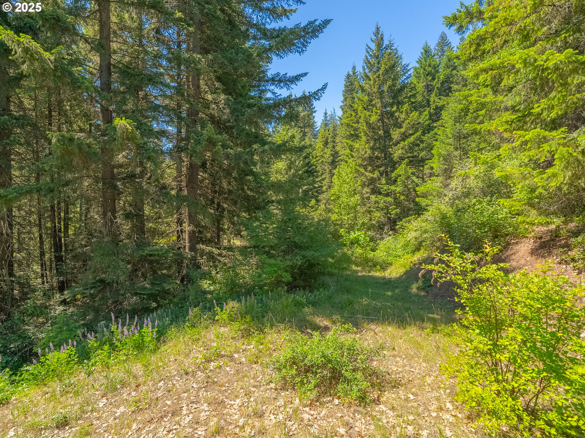 518 Canyon Road Lyle, WA 98635 - Photo 26 of 38