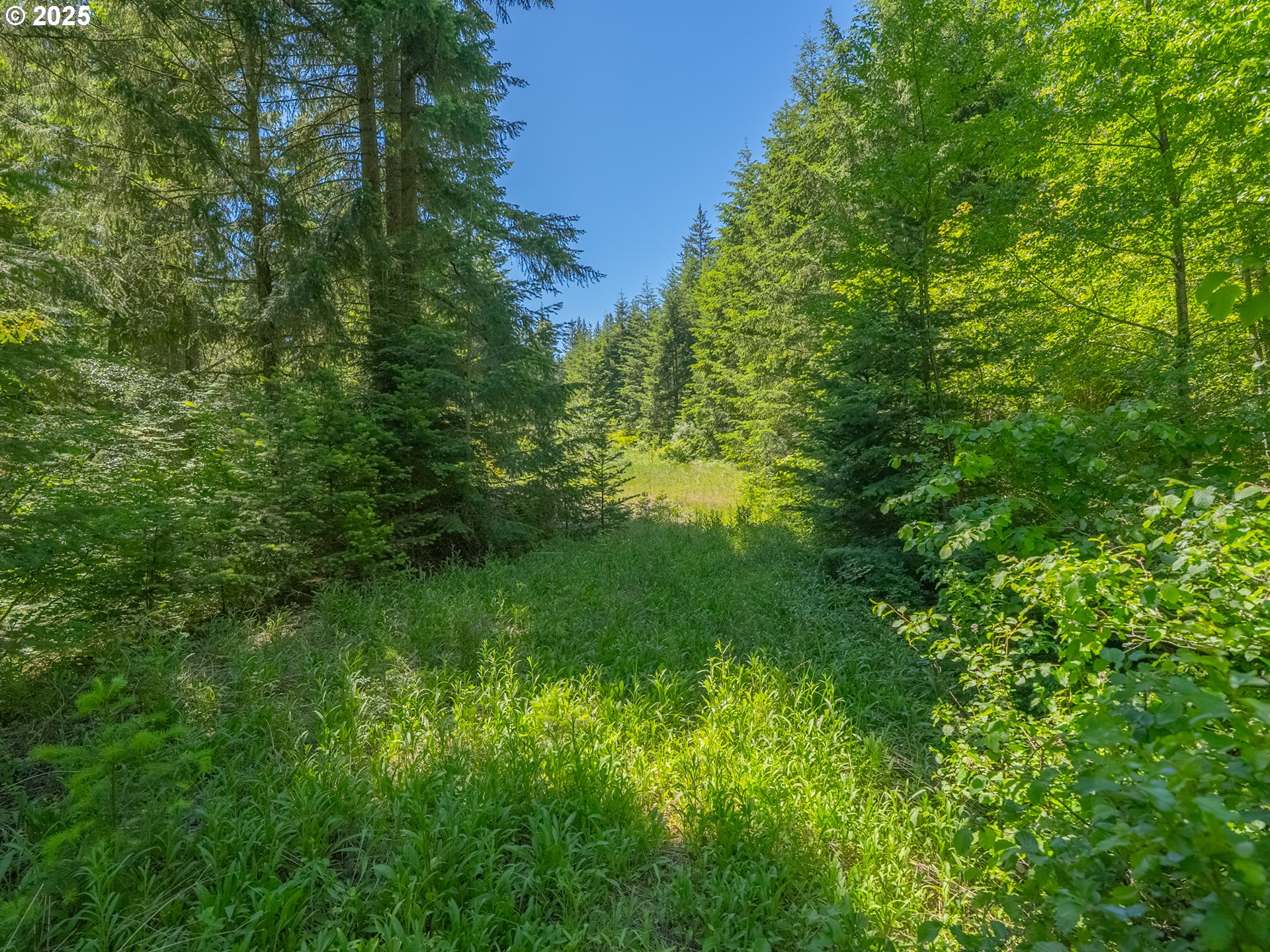 518 Canyon Road Lyle, WA 98635 - Photo 27 of 38