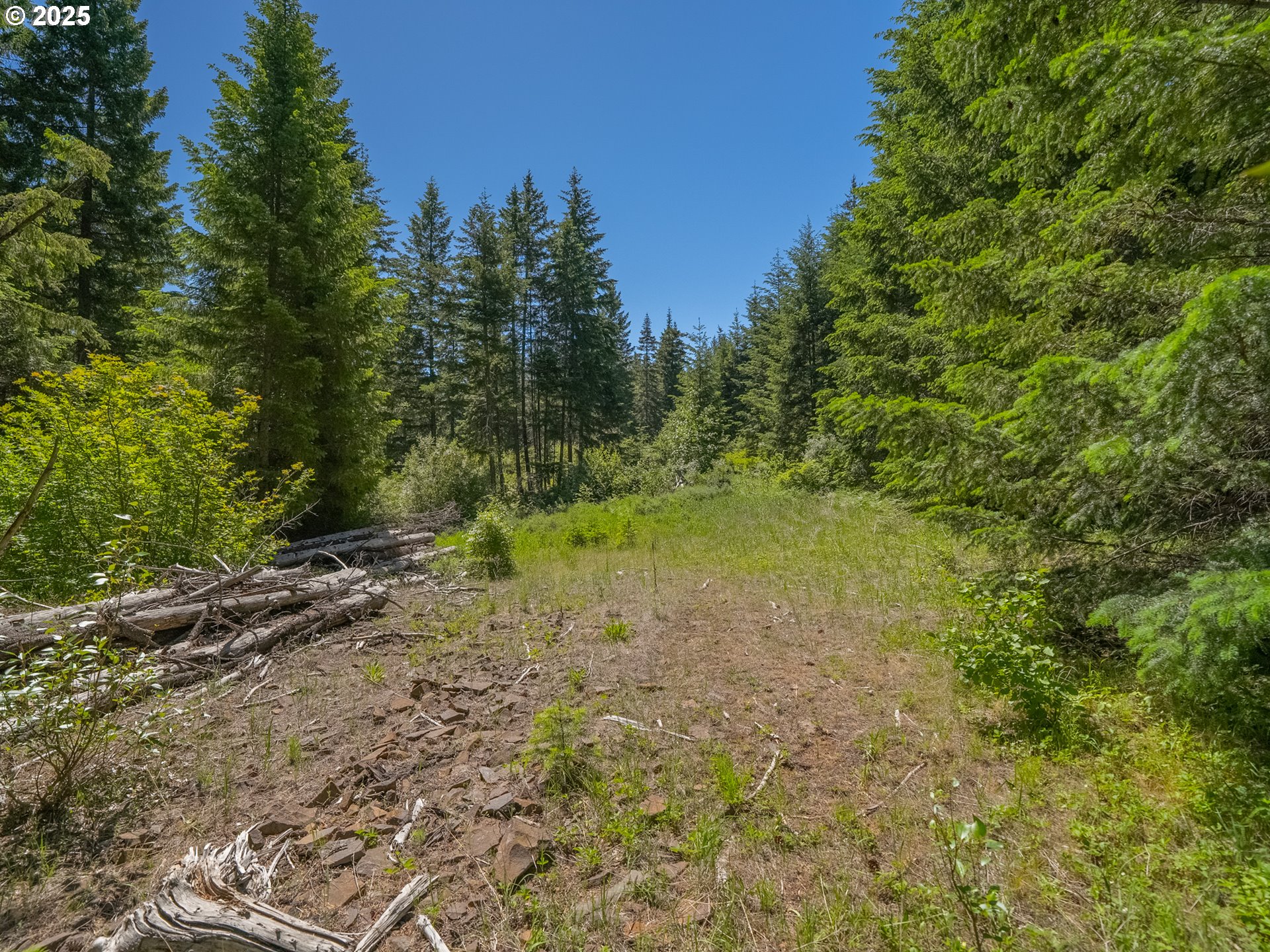 518 Canyon Road Lyle, WA 98635 - Photo 28 of 38