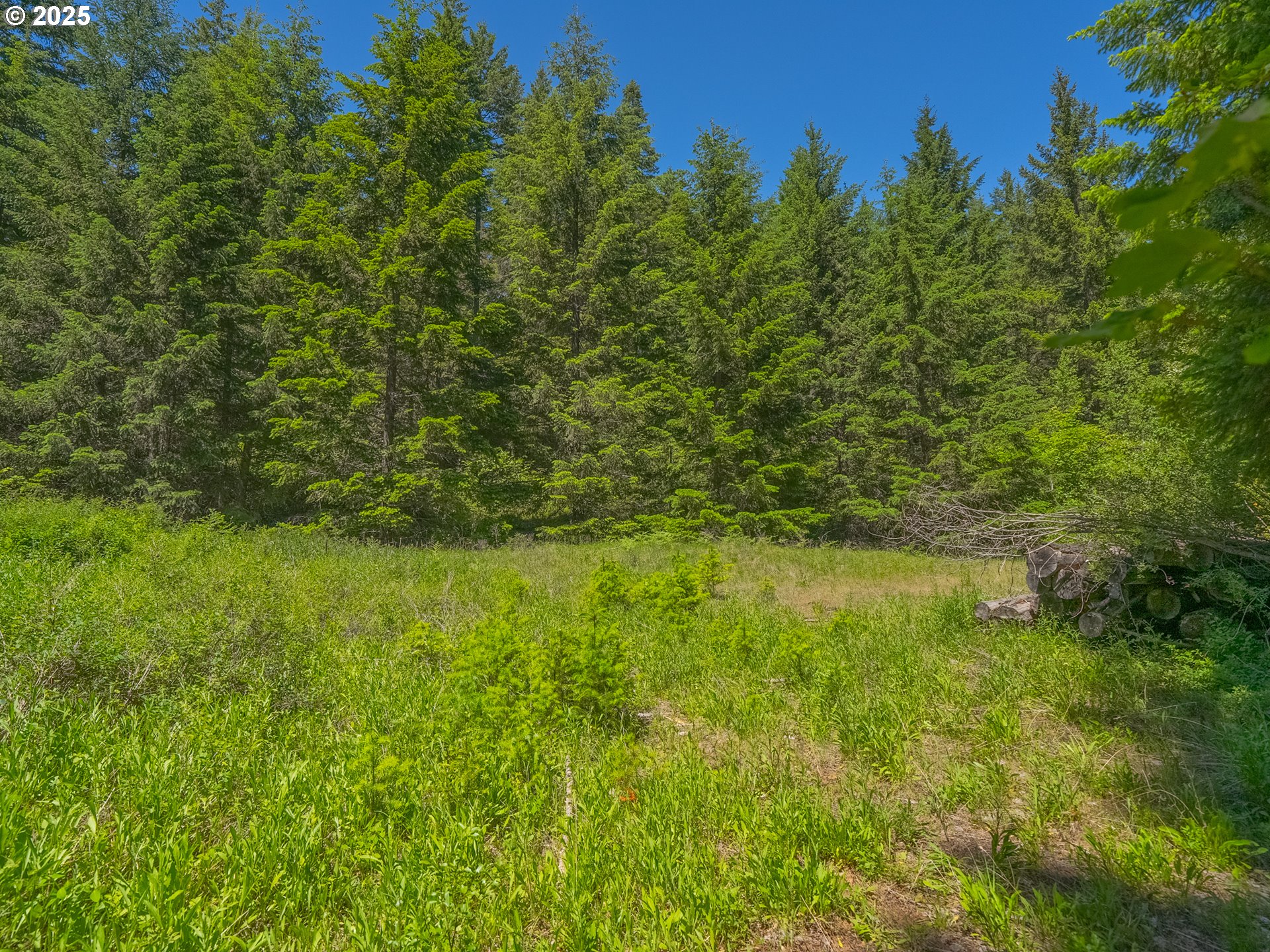 518 Canyon Road Lyle, WA 98635 - Photo 30 of 38