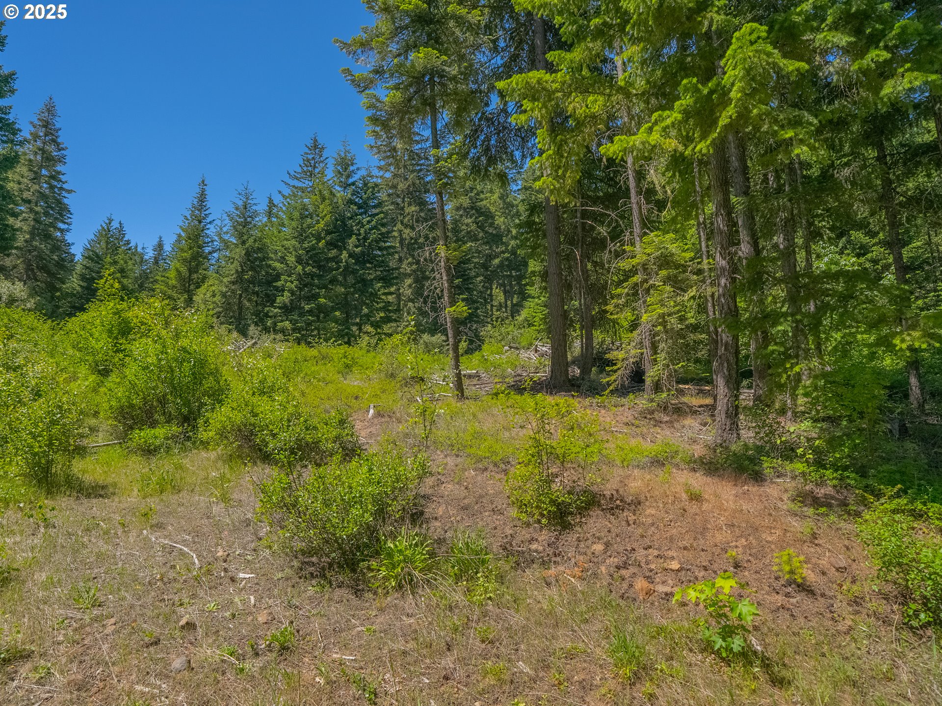 518 Canyon Road Lyle, WA 98635 - Photo 32 of 38