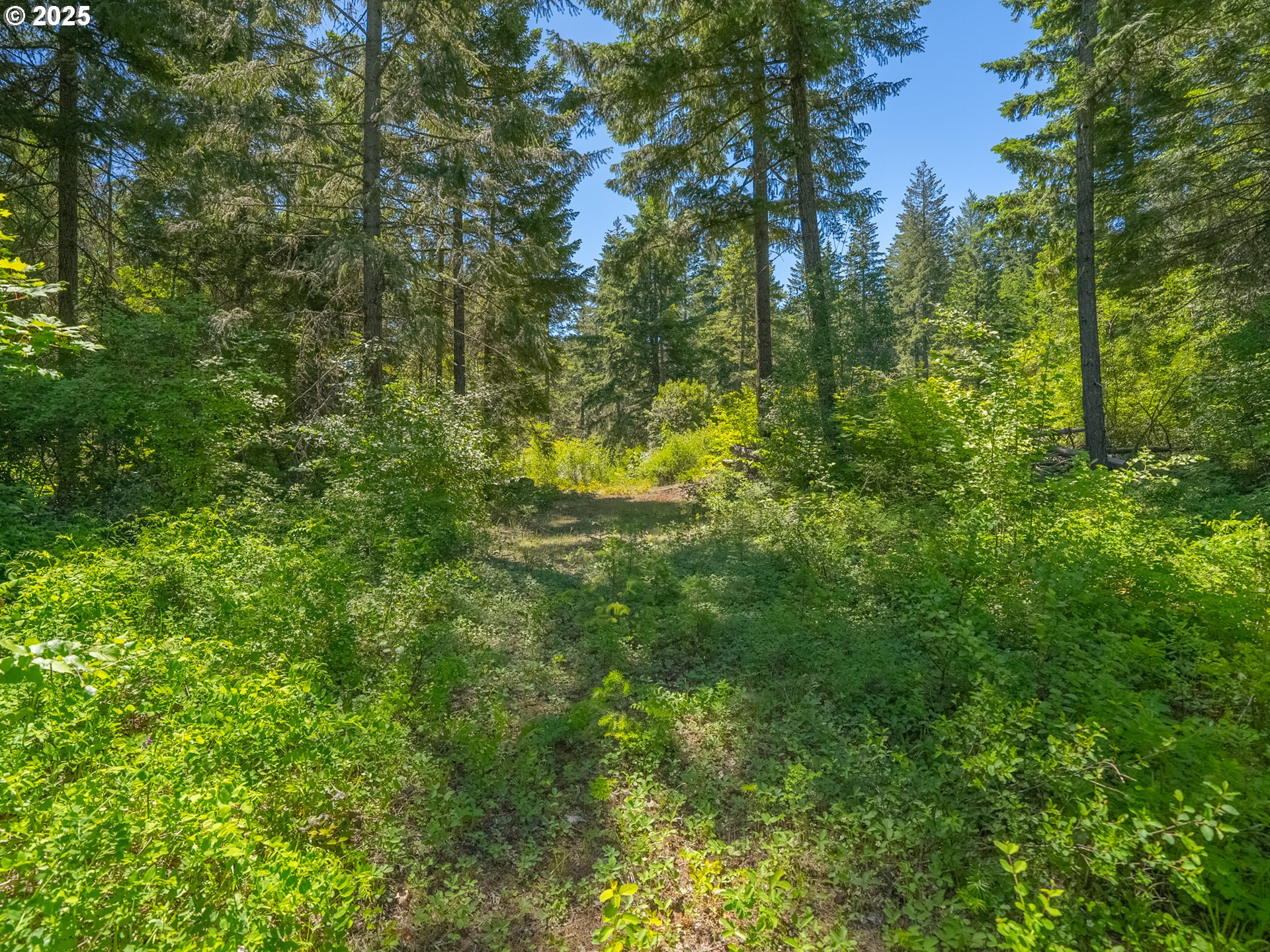 518 Canyon Road Lyle, WA 98635 - Photo 34 of 38