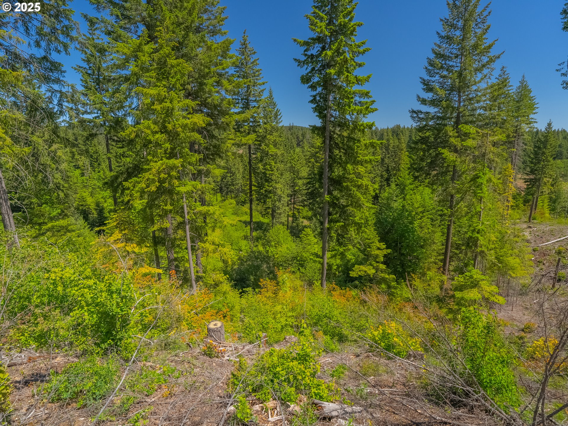 518 Canyon Road Lyle, WA 98635 - Photo 36 of 38