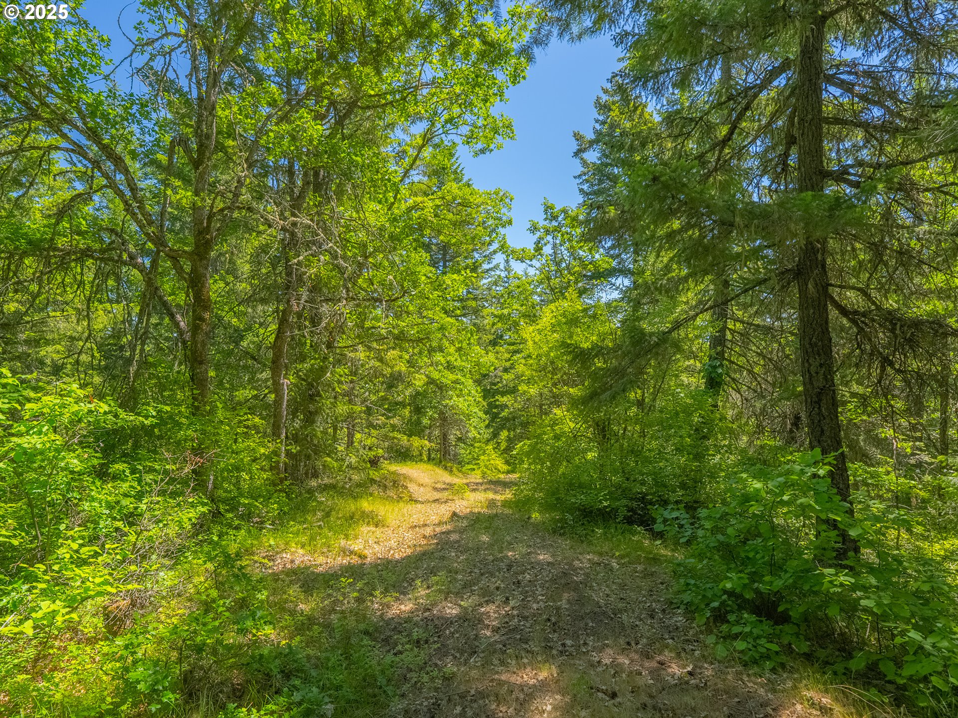 518 Canyon Road Lyle, WA 98635 - Photo 37 of 38