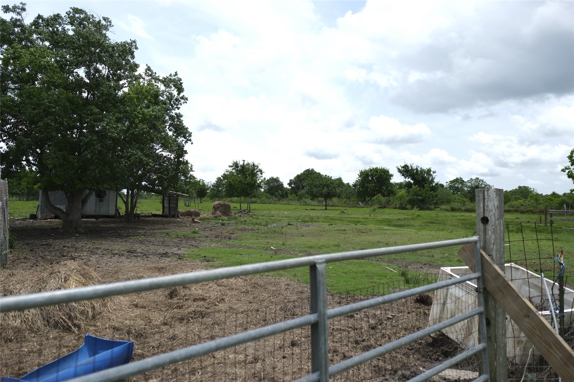 10912 Farm To Market Road 523 Angleton, TX 77515 - Photo 8 of 10 a view of a green field with sitting area