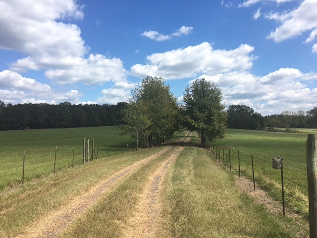 1197 Davis Crossing Road Canton, MS 39046 - Photo 13 of 50 Photo 13