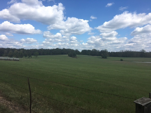 1197 Davis Crossing Road Canton, MS 39046 - Photo 9 of 50 Photo 9