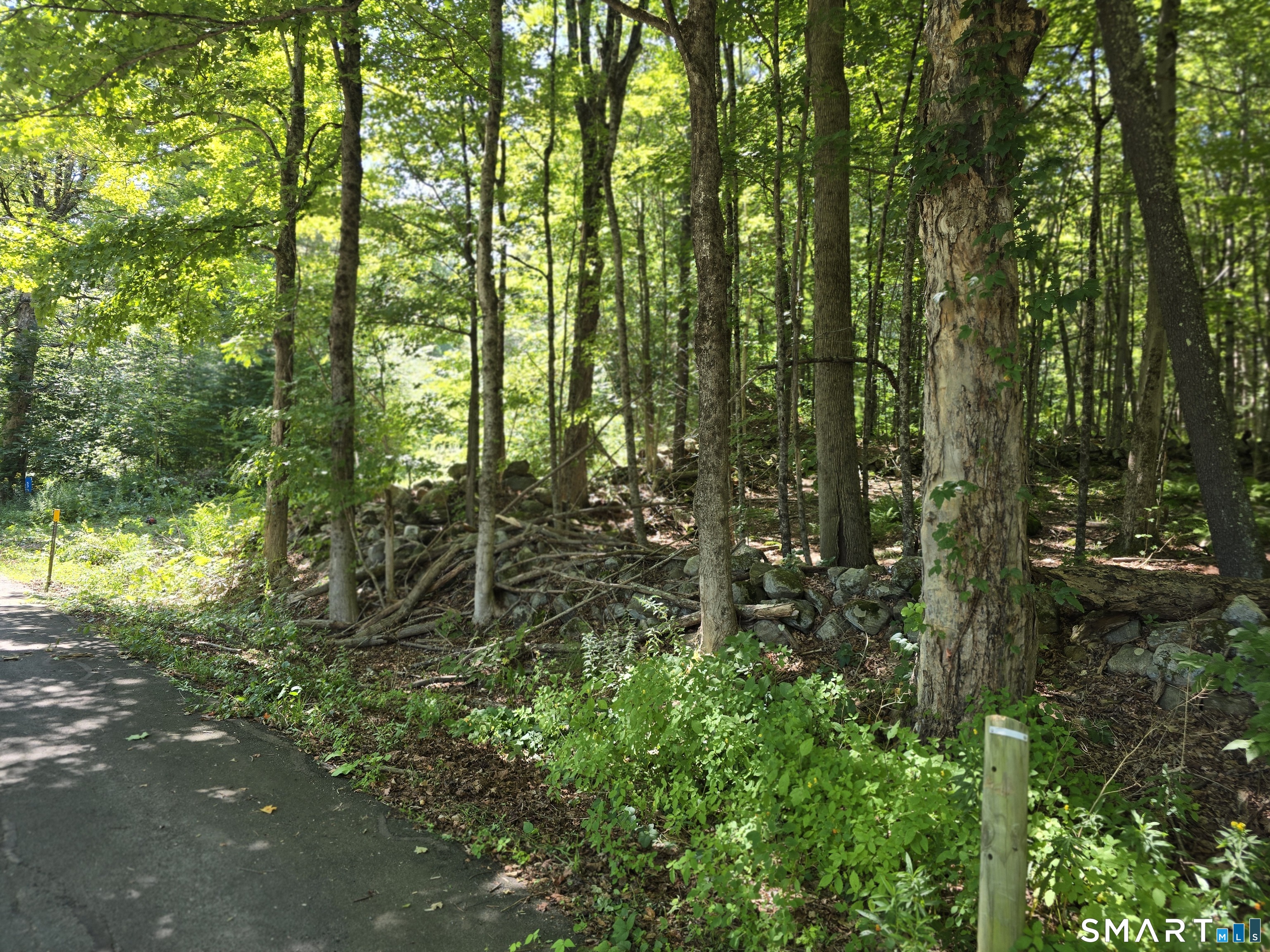53 Flagg Hill Road Colebrook, CT 06021 - Photo 4 of 17 Gallery Image 4