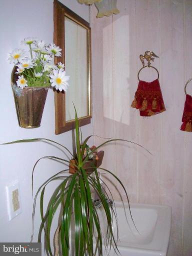 1499 Kimblewick Road Potomac, MD 20854 - Photo 11 of 17 a bathroom with a bathtub and a potted plant