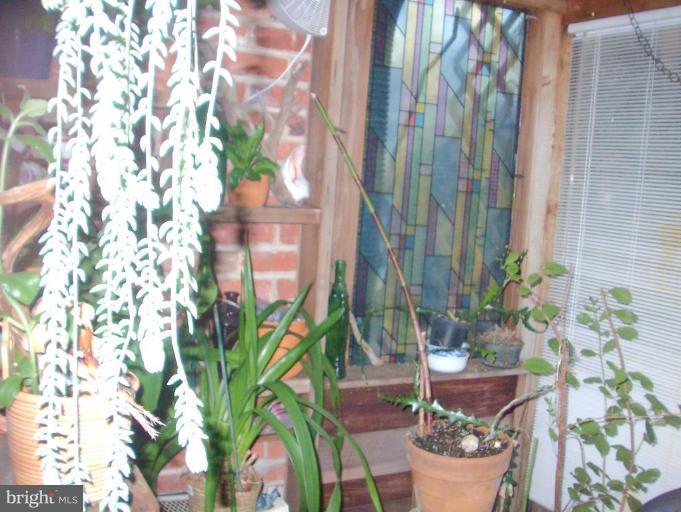 1499 Kimblewick Road Potomac, MD 20854 - Photo 12 of 17 a potted plant sitting in front of a door