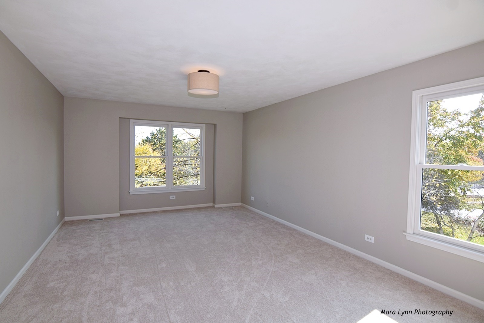 2231 Fargo Boulevard Geneva, IL 60134 - Photo 17 of 24 an empty room with windows
